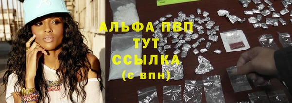 PSILOCYBIN Богданович