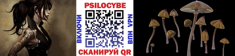 Галлюциногенные грибы мицелий  купить  цена  Болотное 