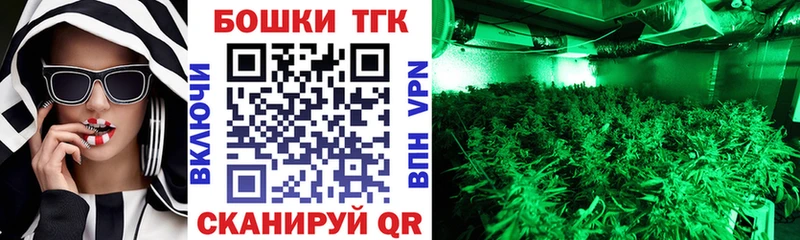 где найти Болотное kraken вход Каннабис семена